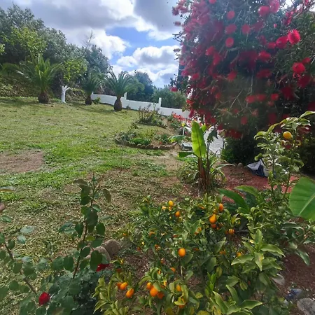 Marianna House Pensionat